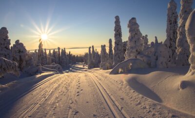 How Ski Trails got their name